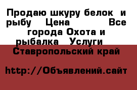 Продаю шкуру белок  и рыбу  › Цена ­ 1 500 - Все города Охота и рыбалка » Услуги   . Ставропольский край